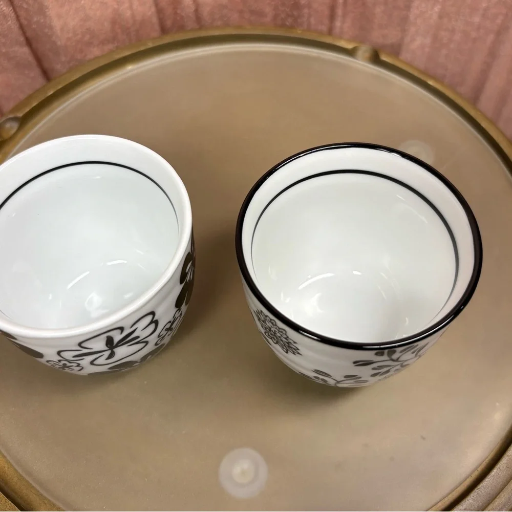 Pier 1 Imports Akina handless tea cup